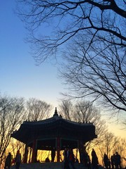 silhouette people at park during sunrise or sunset