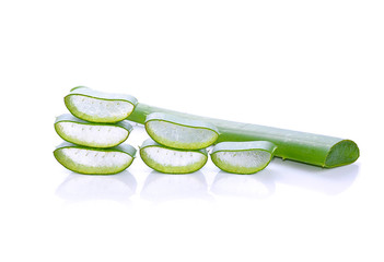 aloe vera isolated on white background