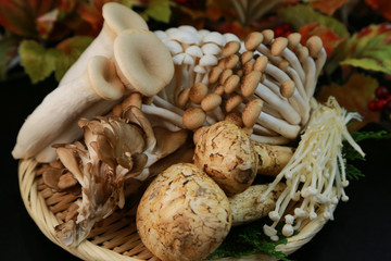 キノコ盛り合せ