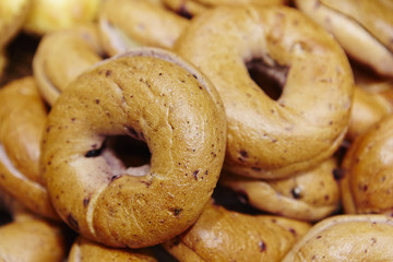 Bread