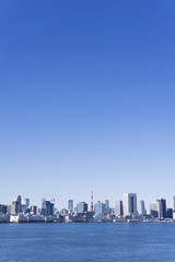 Fototapeta na wymiar 東京都市風景　全景　東京タワーと高層ビル