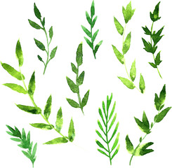 set of abstract branches in watercolor