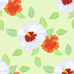 Seamless pattern with hibiscus