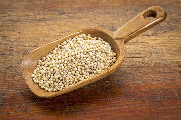 white sorghum grain