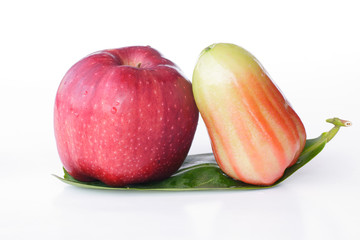 Apple & Rose Apple - Stock Image