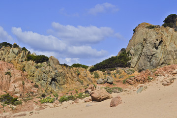 Saredegna: Il granito e piante marittime