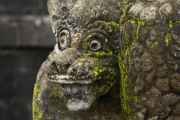 Fototapeta na wymiar Green Moss Growing on Hanuman Statue