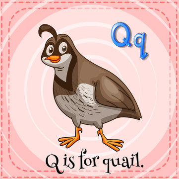 A letter Q