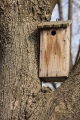 Wooden birdhouse hanging on a tree