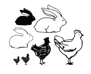 sketch of chickens and rabbits