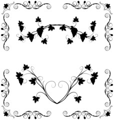 Illustration the grape twig ornate
