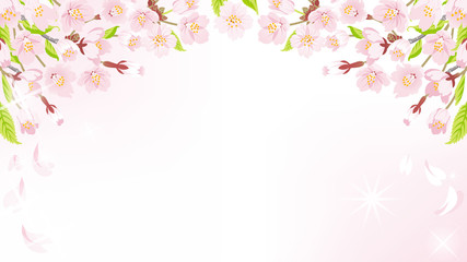 Obraz na płótnie Canvas Cherry Blossom background-above