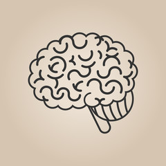 Brain illustration