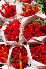 Red hot chilli peppers