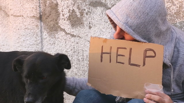 True friendship of man and dog