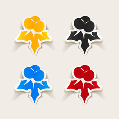 realistic design element: holly berries