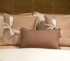 Shades of Brown Pillows
