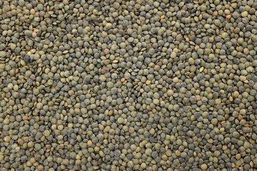 Dark green lentils background