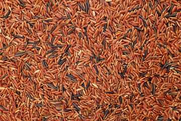 Camargue red rice grains background