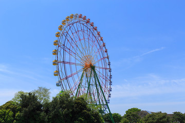 Fototapeta premium Ferries wheel at the Hitachi Seaside Park in Hitachinaka city, I