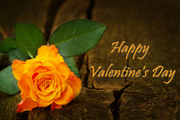 Rose auf Holz zum Valentinstag