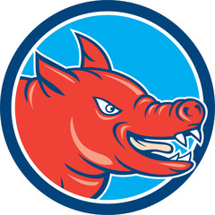 Angry Pig Head Circle Cartoon