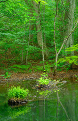 Tsutanuma Pond in Towada-Hachimantai National Park, Aomori, Japa