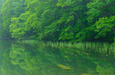 Tsutanuma Pond in Towada-Hachimantai National Park, Aomori, Japa
