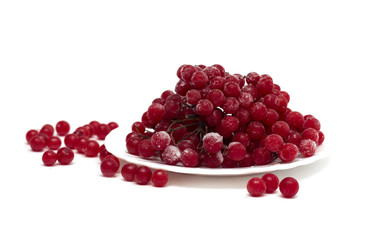 Frozen red viburnum berries on the plate. Photo.