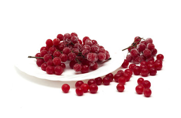 Frozen red viburnum berries on the plate. Photo.