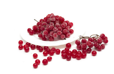Frozen red viburnum berries on the plate. Photo.