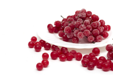 Frozen red viburnum berries on the plate. Photo.