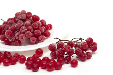 Frozen red viburnum berries on the plate. Photo.