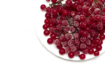 Frozen red viburnum berries on the plate. Photo.