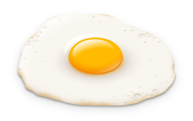 Oeuf au plat vectoriel 1