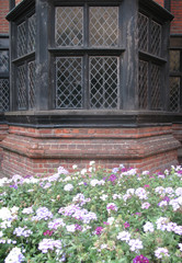 Elizabethan window and flowers