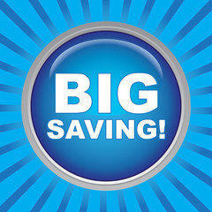 BIG SAVING! ICON