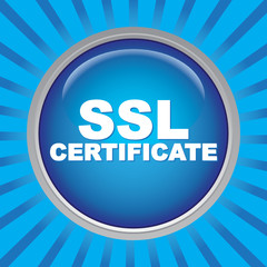 SSL CERTIFICATE ICON