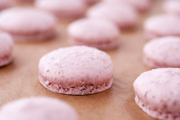 Rosa Macarons 