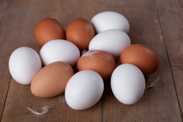Bioeier