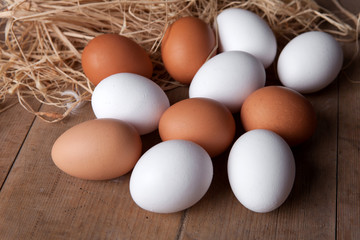 Bioeier