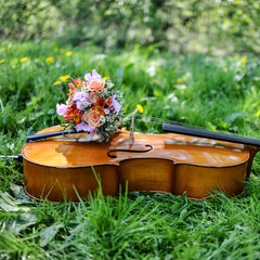 cello auf einer wiese © ilfotokunst