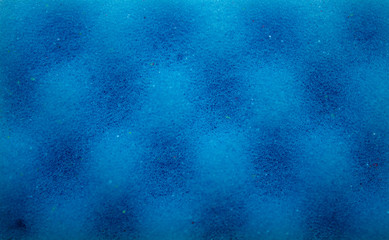 Blue background. Photo.