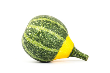 Colorful pumpkin on white background