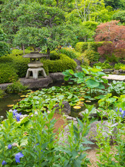 Fototapeta na wymiar Japanese garden at Hasedera temple in Kamakura, Kanagawa, Japan
