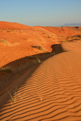 Sand desert dunes pattern in Oman