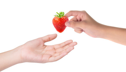 Female hand holding red strawberry isolated on white