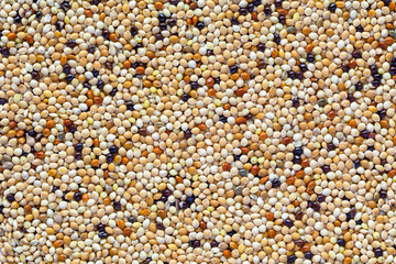 grain texture background