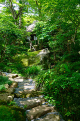 Gora Park in Hakone, Kanagawa, Japan © Hirotaka Ihara