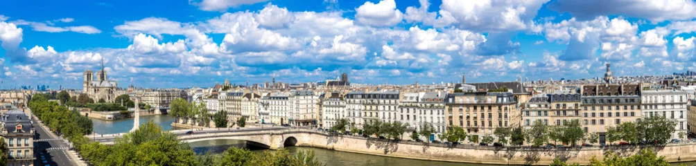 Foto op Aluminium Seine en Notre Dame de Paris © Sergii Figurnyi